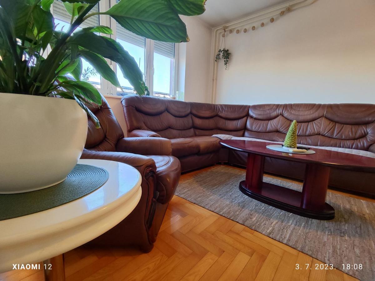 Apartament Srecko No3 Belgrad Zewnętrze zdjęcie